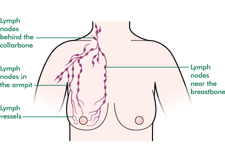 Ladies breast massage Pity, that ladies breast massage remarkable